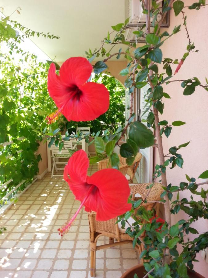 Apartments Irena Vodice Extérieur photo